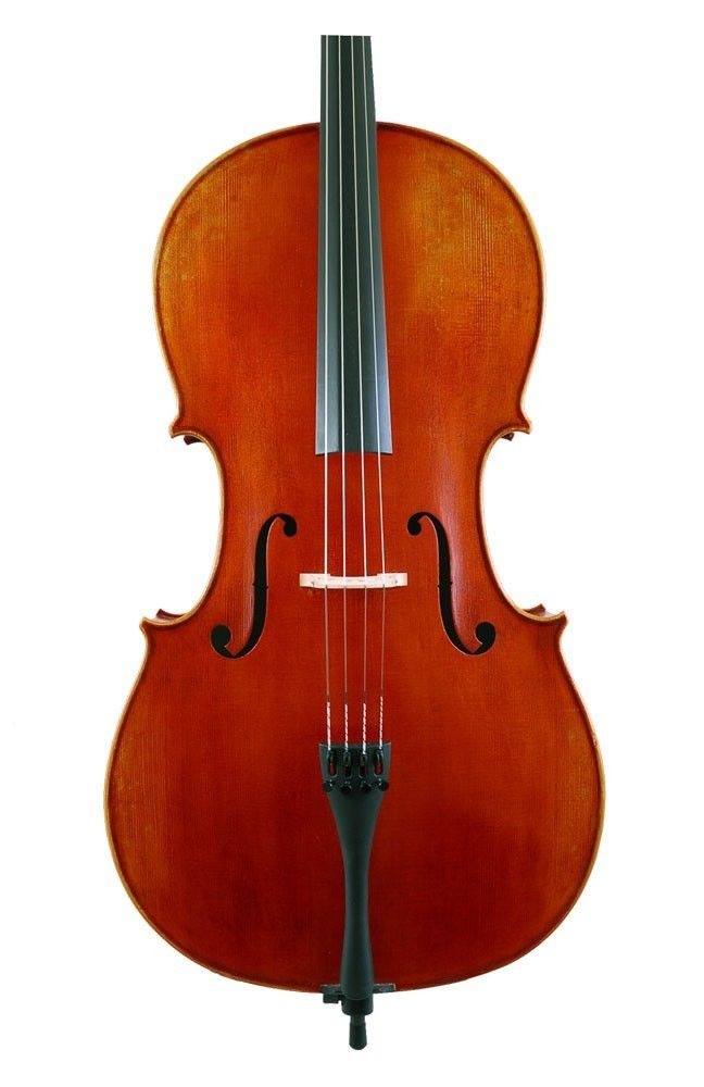Violončelá