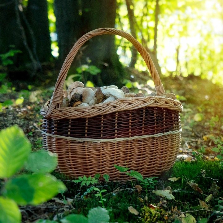 Kadax K9162 ručne pletený prútený košík, 43 × 30 × 43 cm