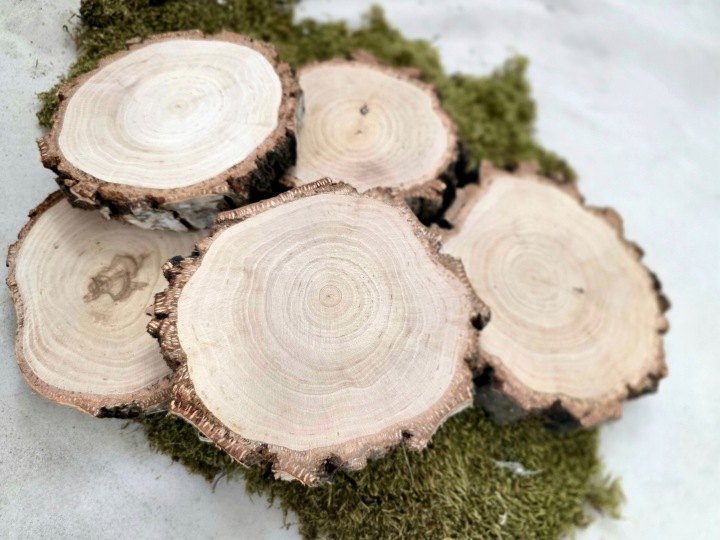 Sada 10 brúsených brezových plátkov 14–16 cm