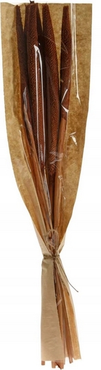 Sušená Kytica Natura B mix - výška 60 cm