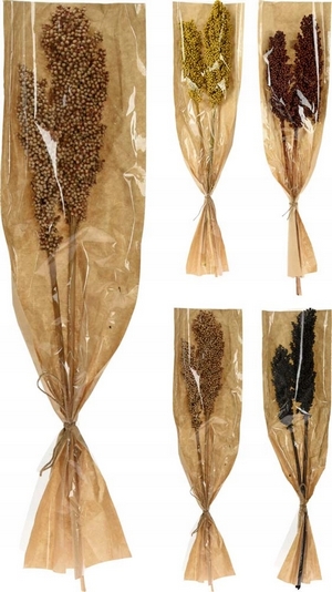 Sušený kvetinový mix Natura C, výška 60 cm - Ideálny do bytu aj záhrady