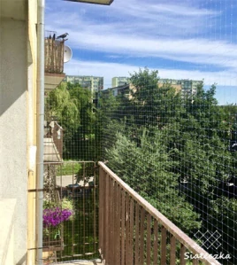 Priehľadná ochranná sieť proti vtákom na balkón, 2 × 3 m