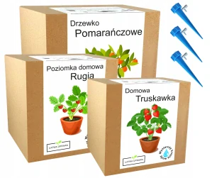 Súprava na pestovanie pomarančovníka, jahody a lesnej jahody Rujana