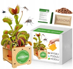Sada na pestovanie mucholapky Dionaea Muscipula Venus