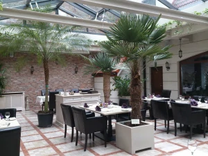 MRAZU ODOLNÁ DLAŇ TRACHYCARPUS FORTUNEI PALM L25