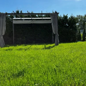 Trávna zmes, záhrada, športová záhrada 40 m² 1 kg