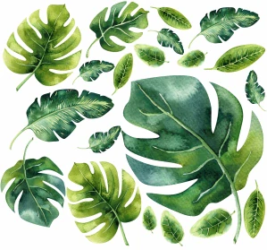 Akvarelové samolepky na stenu Monstera, hárok 50 × 100 cm