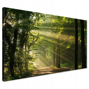 Obraz na plátne lesné stromy 120x80