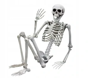 ĽUDSKÁ KOSTRA Z HALLOWEENSKÝCH KOSTI 170CM