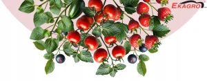 Organické, prírodné hnojivo Ekagro soil 20 kg 50 l