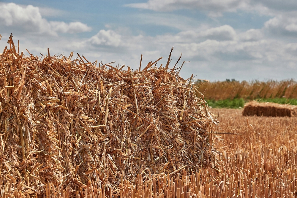 ECO STRAW - Podstielka pre psa, hlodavce, chovateľská stanica pre kurčatá