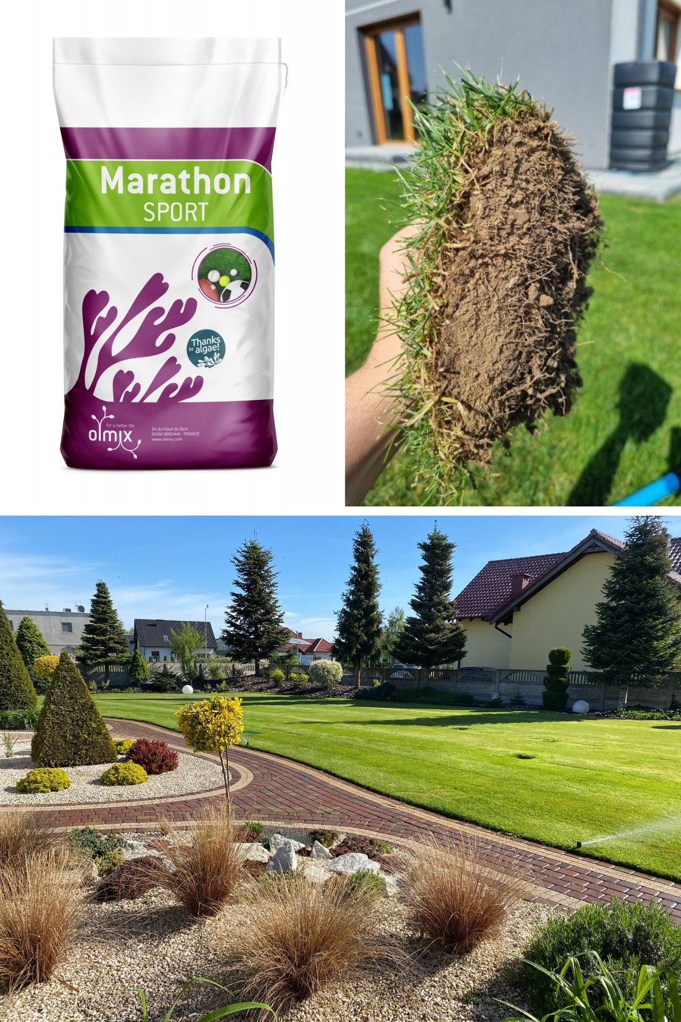 HNOJIVO NA SIATIE TRÁVY na zakladanie trávnika Marathon Algae Sport 7-13-9 20 kg