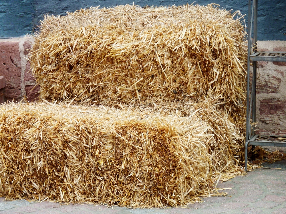 ECO STRAW - Podstielka pre psa, hlodavce, chovateľská stanica pre kurčatá