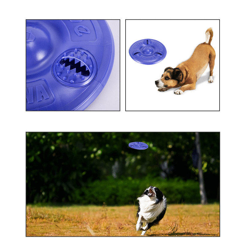Flying Frisbee Disk pre psa Teether za pochúťky