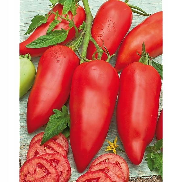 Paradajka Cornabel F1 15g Vilmorin Garden Red do skleníka