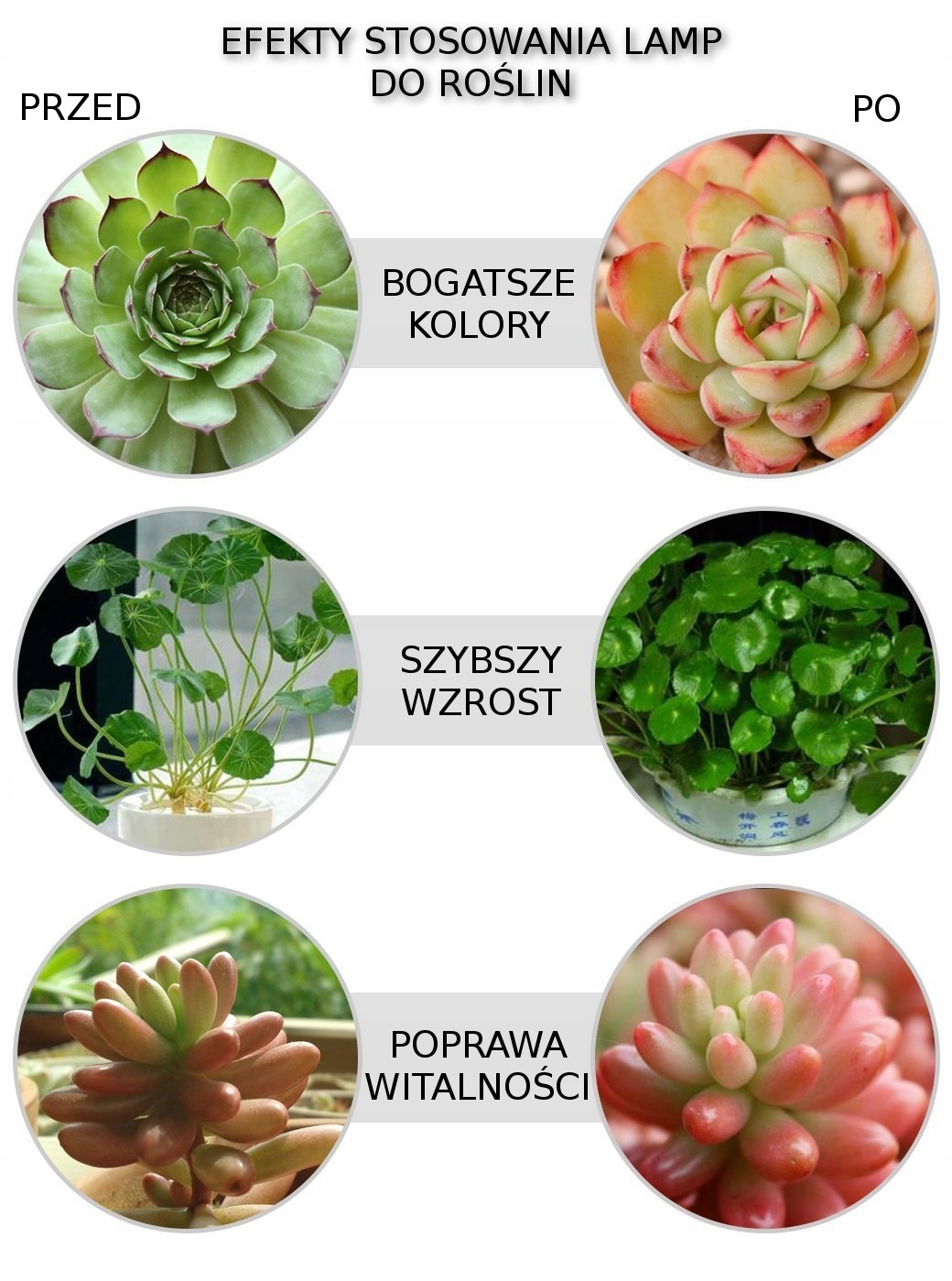 Grow Light LED žiarovka pre pestovanie rastlín 20W E27