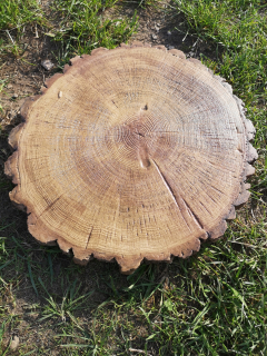 BETÓNOVÝ ZÁHRADNÝ KMEŇ Z DREVA KRUH KMEŇA 40 cm
