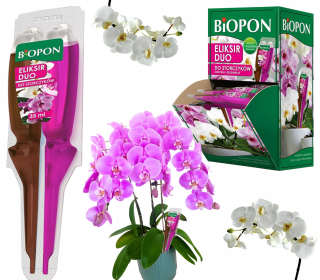 BOPON DUO PRE ORCHIDEJE ELIXÍR 36x