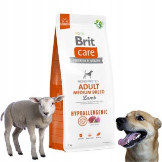 BRIT Care Hypoallergenic Medium Lamb Lamb Krmivo pre psov 12 kg