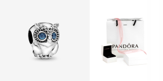 Charms Shiny Owl 798397NBCB s925 Moments Pandor