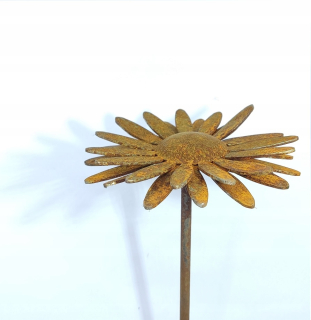 Daisy Africká kovová záhradná dekorácia corten zhrdzavený 3D 061