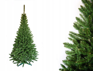 Vianočný stromček - Veľký hustý vianočný stromček kaukazský smrek 220 cm zelený