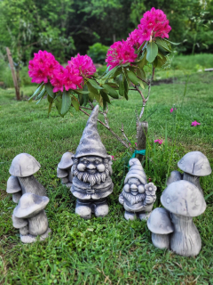 GNOME GARDEN GNOME GIPSUM TRWARFS GLASTER GNOMES