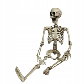 Halloweenska dekorácia ľudskej kostry
