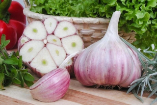 Harnaś zimný cesnak, poľská kvalifikácia, 1kg