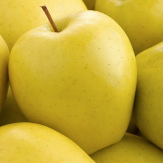 Jablone Golden Delicious, sadenica s holým koreňom, 140-150 cm