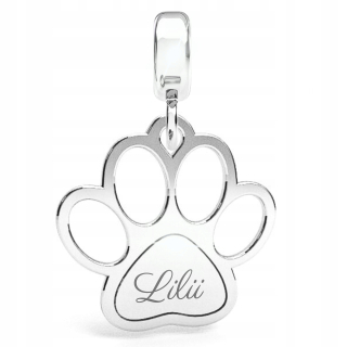 Darčekový prívesok z korálok Charms Dog Cat Paw Silver 925 (925)