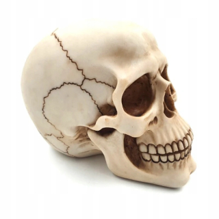 Lebka stojaca Giftdeco 15 cm
