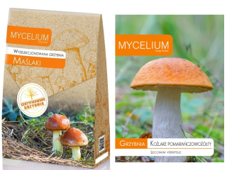 Mycelium maslových húb Mycelium 120 ml