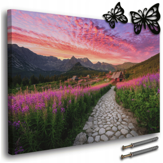 Obraz na plátne 120x80 - Tatry, Dolina Chochołowska, Ideálny do obývačky
