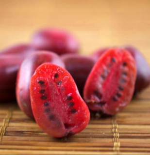 MINI KIWI Ken's Red samičia odroda SWEET FRUIT