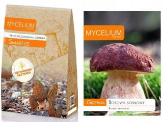 Smrž mycéliový 120 ml
