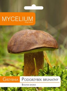Mycelium mycelium Hríb hnedý 0,01 kg