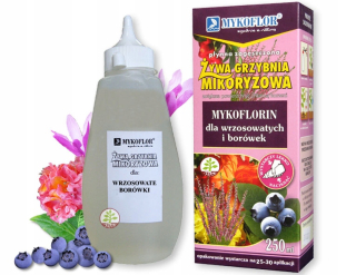Mykoríza ČUČORÍNKA RODODENDRON HEATHER mycélium