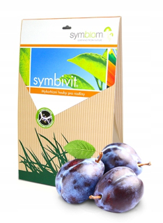 MYCORRHIZA mycélium Slivkové hnojivo Symbiom