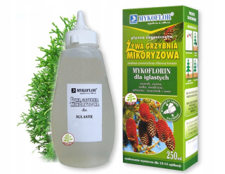Mykoríza pre mycélium Ihličnanov