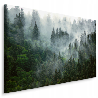 Obraz do obývačky Les v hmle 3D KRAJINA 120x80