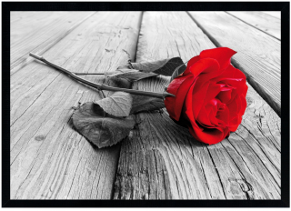 Moderný Obraz v Drevenom Ráme "Rose 2" - Rozmery 70x100 cm