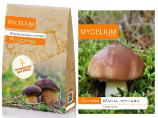 Mycelium of Mycelium bay boletes 120 ml