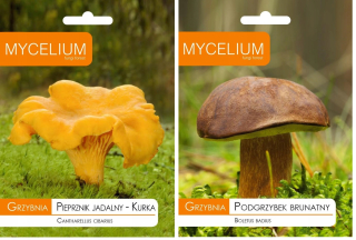 Mycélium Mycélium hríb hnedý 0,01 kg