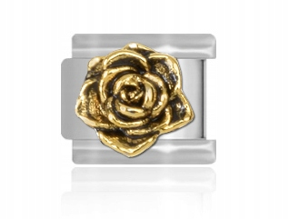 Modul Maybeme Rosebud Gold