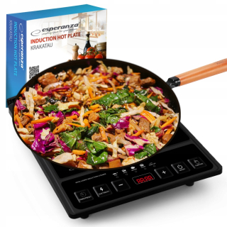 Elektrický indukčný sporák HOB 2000W