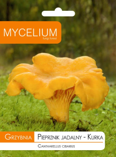 Mycelium mycelium Liška 10 g