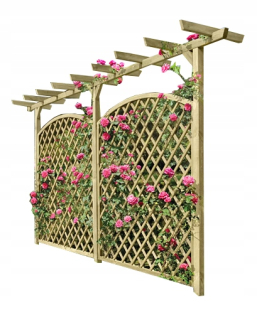 Pergola Trellis Climbers Truss č. 66046