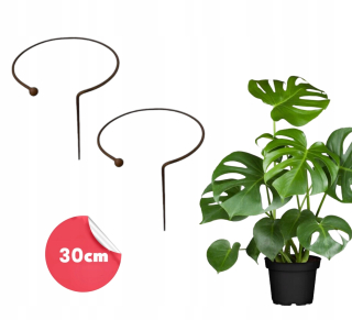 2× Podpera 2ks na kríky rastliny kvety záhradná podpera D30 H60cm pevná