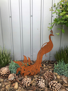 Záhradná dekorácia Pávie Corten Rust Art Industrial